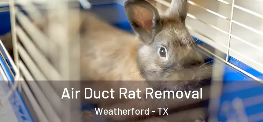  Air Duct Rat Removal Weatherford - TX
