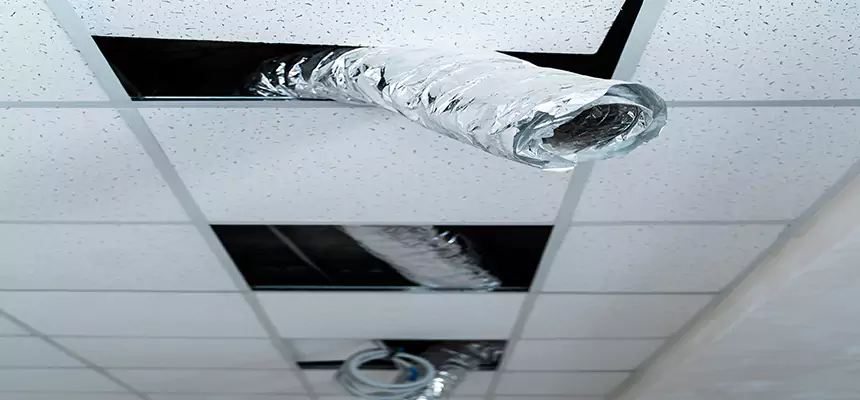 Our Air Duct Pet Hair Removal Services in Weatherford, TX