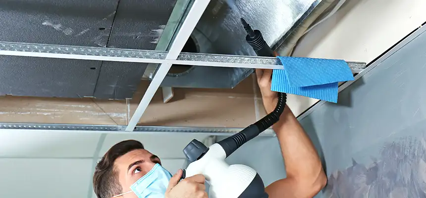 Our Air Duct Rodent Removal Services in Weatherford, TX