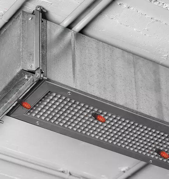 Affordable Insect Removal from Air Ducts in Weatherford, TX
