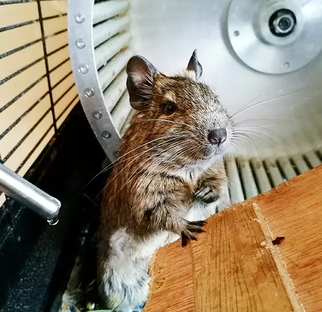 Why Homeowners & Businesses Trust Us Weatherford, TX